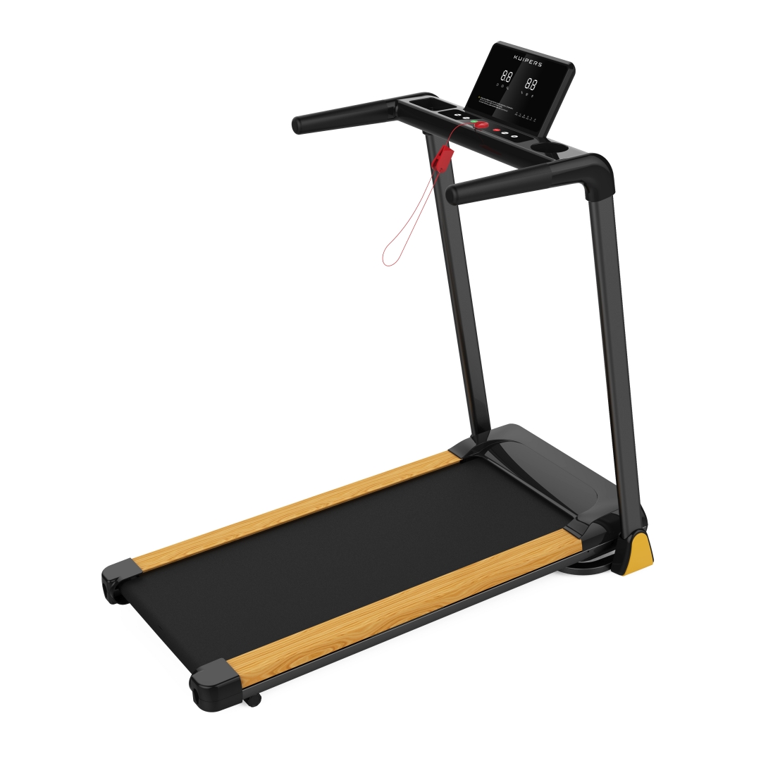 Tapis Roulant Elettrico Pieghe - Home Gym Leg recensione e prezzo
