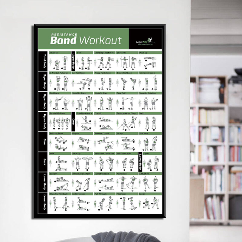 Grafico di allenamento per il  - Home Gym York recensione e prezzo