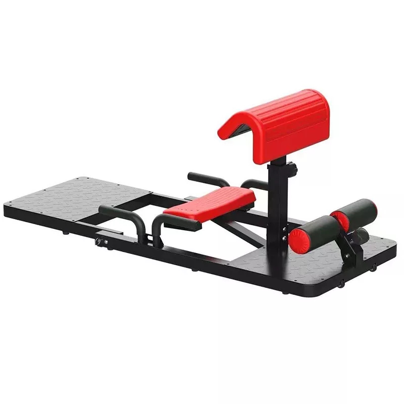 Macchina per Squat Sissy 3-in- - Home Gym Quad Exercises recensione e prezzo