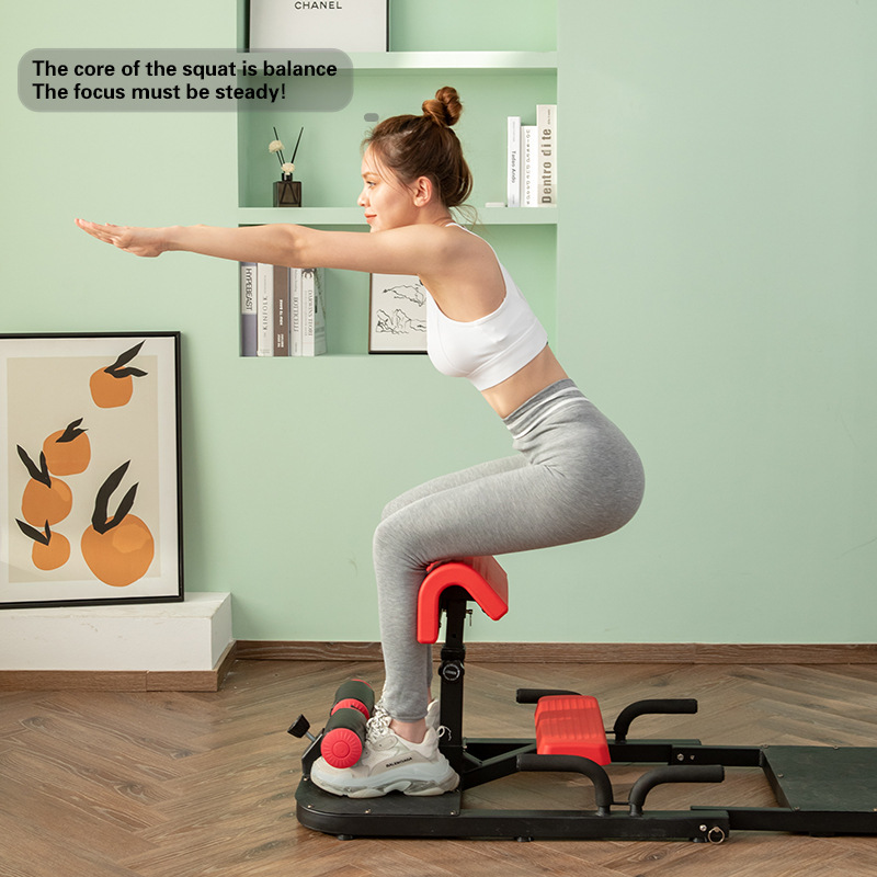 Macchina per Squat Sissy 3-in- - Home Gym Quad Exercises recensione e prezzo
